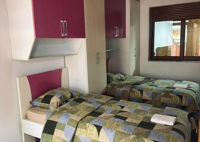 Terminal Comfort 地拉那